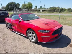 1FATP8UH9K5159067 2019 FORD MUSTANG