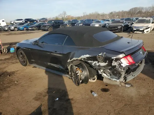 1FATP8UH9K5162261 2019 FORD MUSTANG - Image 2