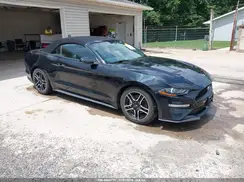 1FATP8UH9K5170196 2019 FORD MUSTANG