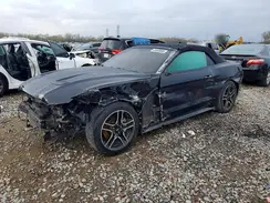 1FATP8UH9K5170683 2019 FORD MUSTANG