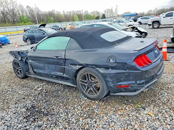 1FATP8UH9K5170683 2019 FORD MUSTANG - Image 2