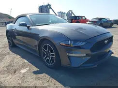 1FATP8UH9K5170795 2019 FORD MUSTANG