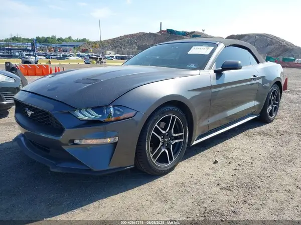 1FATP8UH9K5170795 2019 FORD MUSTANG - Image 2