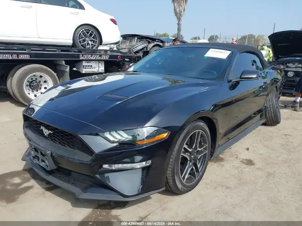 1FATP8UH9K5171901 2019 FORD MUSTANG - Image 2
