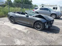 1FATP8UH9K5172319 2019 FORD MUSTANG