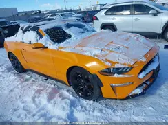 1FATP8UH9K5179772 2019 FORD MUSTANG