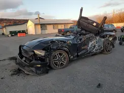 1FATP8UH9K5181697 2019 FORD MUSTANG