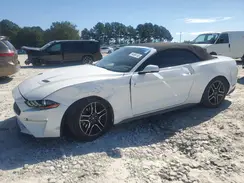 1FATP8UH9K5181831 2019 FORD MUSTANG