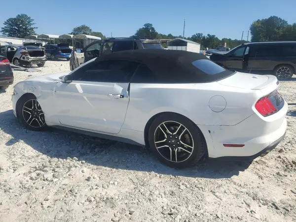 1FATP8UH9K5181831 2019 FORD MUSTANG - Image 2