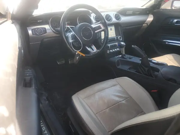 1FATP8UH9K5181831 2019 FORD MUSTANG - Image 8