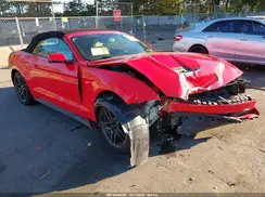 1FATP8UH9K5181876 2019 FORD MUSTANG