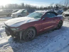 1FATP8UH9K5187158 2019 FORD MUSTANG
