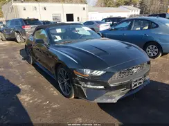 1FATP8UH9K5188729 2019 FORD MUSTANG