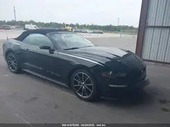 1FATP8UH9K5190979 2019 FORD MUSTANG