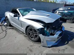 1FATP8UH9K5193087 2019 FORD MUSTANG