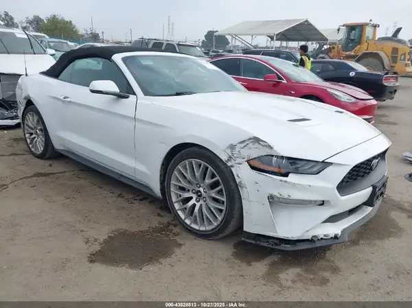 1FATP8UH9K5193445 2019 FORD MUSTANG - Image 1