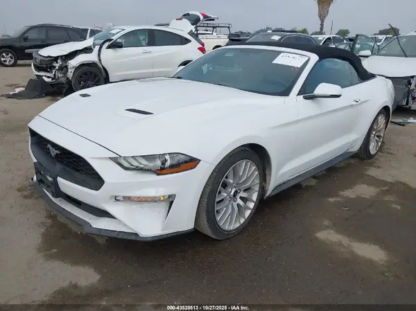 1FATP8UH9K5193445 2019 FORD MUSTANG - Image 2