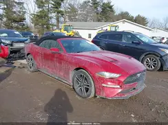 1FATP8UH9L5174265 2020 FORD MUSTANG