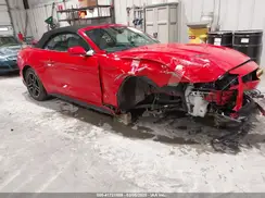 1FATP8UH9P5103427 2023 FORD MUSTANG