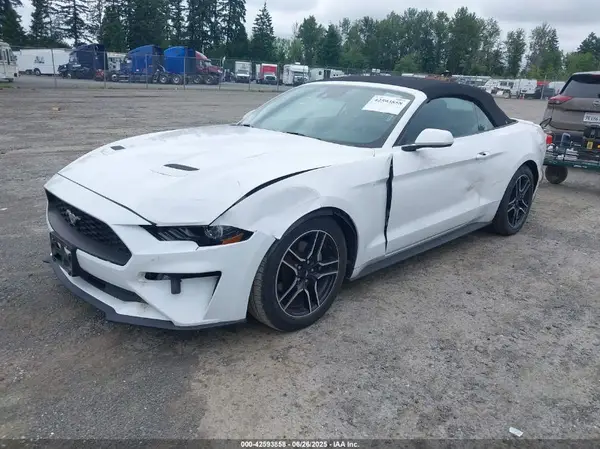 1FATP8UH9P5110555 2023 FORD MUSTANG - Image 2