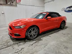 1FATP8UHXG5329802 2016 FORD MUSTANG