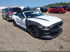 1FATP8UHXH5304514 2017 FORD MUSTANG