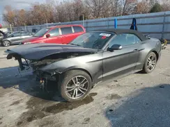 1FATP8UHXH5317215 2017 FORD MUSTANG