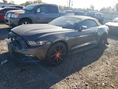 1FATP8UHXH5334242 2017 FORD MUSTANG