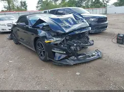 1FATP8UHXJ5138923 2018 FORD MUSTANG