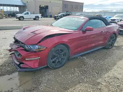 1FATP8UHXJ5165989 2018 FORD MUSTANG