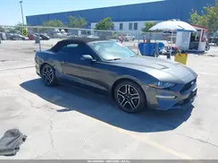 1FATP8UHXK5106443 2019 FORD MUSTANG