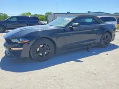 1FATP8UHXK5109701 2019 FORD MUSTANG