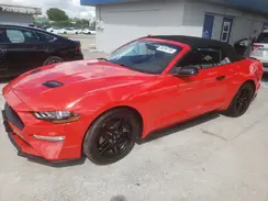1FATP8UHXK5109729 2019 FORD MUSTANG