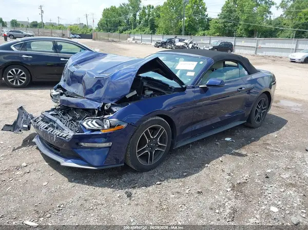 1FATP8UHXK5119631 2019 FORD MUSTANG - Image 2