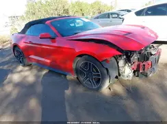 1FATP8UHXK5126305 2019 FORD MUSTANG
