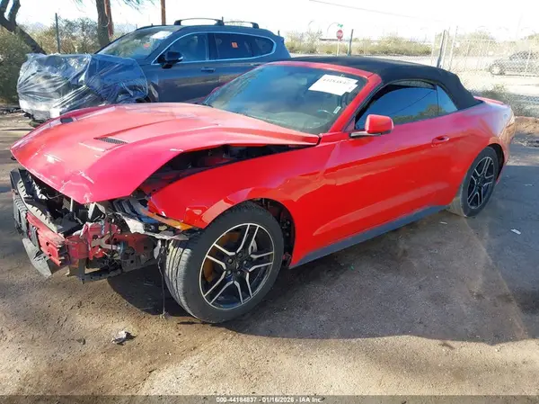 1FATP8UHXK5126305 2019 FORD MUSTANG - Image 2
