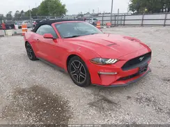 1FATP8UHXK5131519 2019 FORD MUSTANG