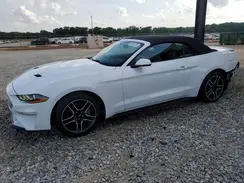 1FATP8UHXK5138681 2019 FORD MUSTANG