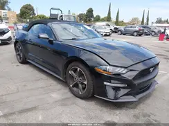 1FATP8UHXK5148126 2019 FORD MUSTANG