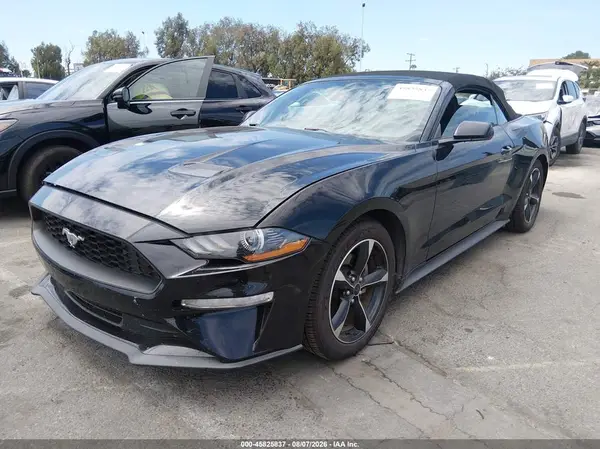 1FATP8UHXK5148126 2019 FORD MUSTANG - Image 2