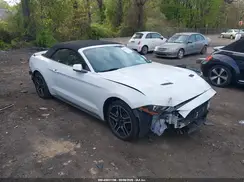 1FATP8UHXK5149003 2019 FORD MUSTANG
