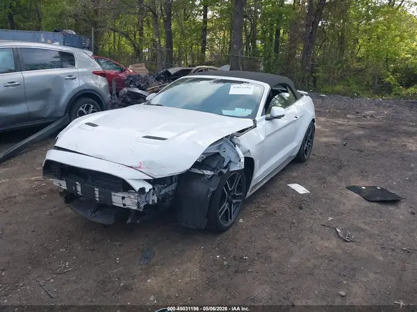 1FATP8UHXK5149003 2019 FORD MUSTANG - Image 2