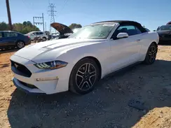 1FATP8UHXK5149034 2019 FORD MUSTANG