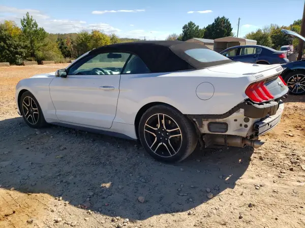 1FATP8UHXK5149034 2019 FORD MUSTANG - Image 2