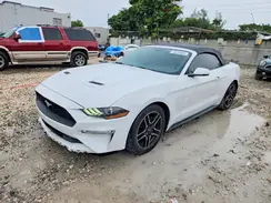 1FATP8UHXK5149051 2019 FORD MUSTANG