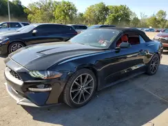 1FATP8UHXK5149549 2019 FORD MUSTANG