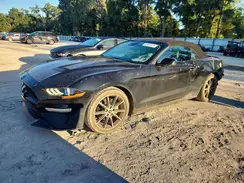 1FATP8UHXK5149700 2019 FORD MUSTANG