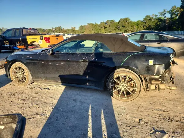 1FATP8UHXK5149700 2019 FORD MUSTANG - Image 2