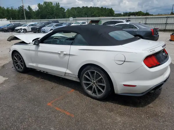 1FATP8UHXK5149941 2019 FORD MUSTANG - Image 2