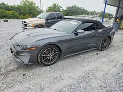 1FATP8UHXK5150118 2019 FORD MUSTANG
